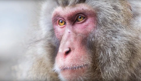 Tips That Make Your Wildlife Shots Just a Bit Easier