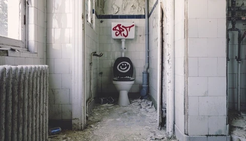 Feeling Flushed: The Toilet as a Still Life