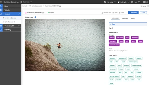 AI to Find the Perfect Stock Image for a Campaign, IBM and Shutterstock Make It a Reality