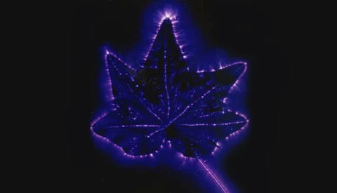 Mastering the Kirlian Photography Technique: A Short Guide