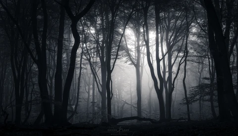 Social Deconstruction: Why Photography Should Always Be for You