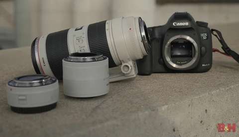 More Zoom for a Low Price: A Beginner's Guide to Teleconverters 