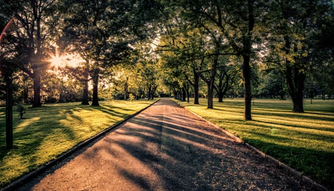 Top 10 WeeklyFstop Photos: Shadows