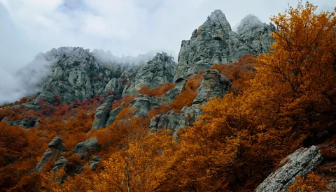 Free App to Color Grade Your Images on Mobile Using LUTs