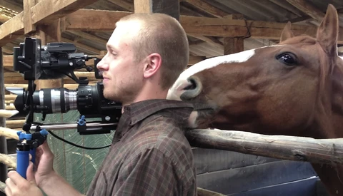 This Cameraman Does a Great Job of Keeping It Together Despite Way Too Much Horsing Around