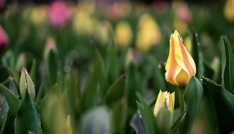 Using Lightroom's Details Panel to Put the Finishing Touches on Your Photos