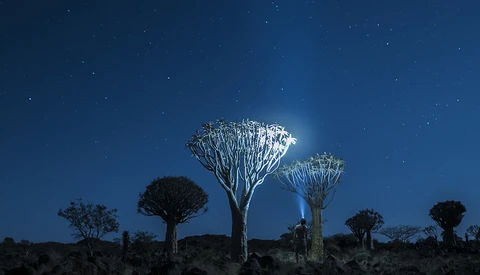 'In the Starlight': A Film About Photography, Adventure, and Family