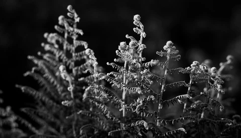 Three Ideas for Creating Different Landscape and Nature Photographs 