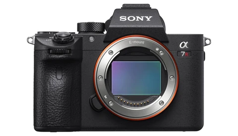 Want Better Photos? Get to Know Your Camera Sensor