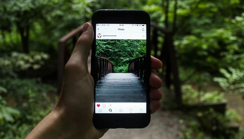 Use This Free Template and Instagram's Multi-Post Feature to Show Off Detail in Your Photographs