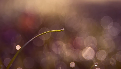 Top 10 WeeklyFstop Photos: Grow
