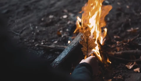 How to Give Your Footage That Beautiful Cinematic Look in Premiere Pro