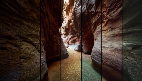 Check Out Lightroom's Color Profiles