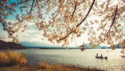 Mount Fuji's Five Best Landscape Locations
