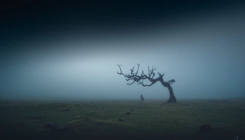 Five Composition Tricks for Capturing Simpler and Stronger Landscape Photos