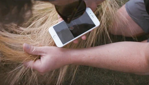 Using a Smartphone to Record Ambient Sounds and How to Place Them in Video Projects