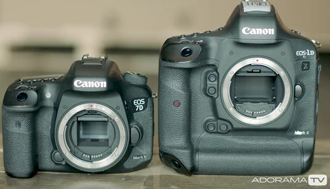 A Quick Beginner's Guide to Crop Versus Full-Frame Cameras