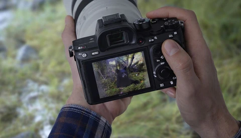 What Camera Brands Will Be Left When the Mirrorless Dust Settles?