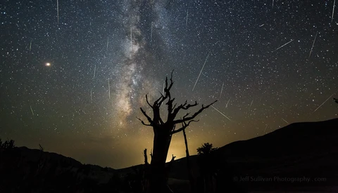 A Baker's Dozen of Impressive Perseid Meteor Shower Captures