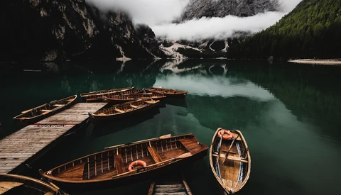 Where Did All the Color on Instagram Go?
