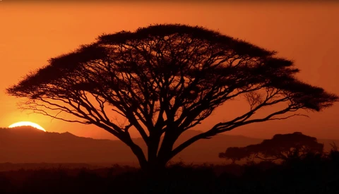 Ten Tips for Capturing Stunning Sunset Photos