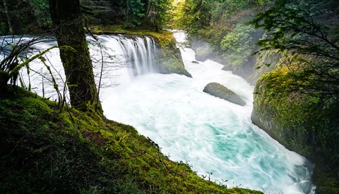 How Neutral Tones Unlock a Landscape’s Believability