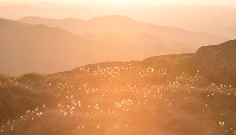 Please Stop Tagging the Locations of Your Outdoor Photographs