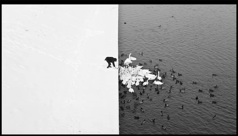 Nine Tips to Improve Your Black and White Photography