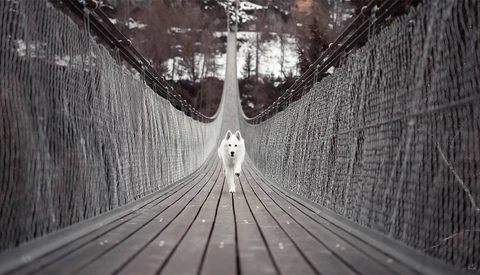 How Composition Can Make or Break a Photo