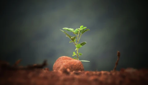 The Key to Personal Growth as a Photographer