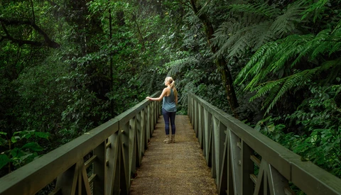 Why Does Instagram Love Centered Compositions?