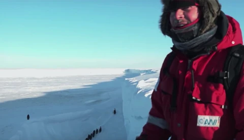 Filmmakers Criticised For Intervening with Trapped Penguins in Antarctica
