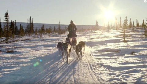 Dog Sledding: How the Races Helped One Photographer Come Back From the Dark