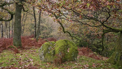 Why Shooting in the Rain Can Give You Great Landscape Photos