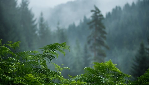 How to Add a 3D Feel to Your Landscape Photos