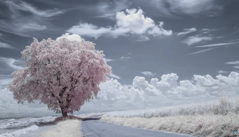 Check Out This Fantastic 8K Infrared Time-Lapse