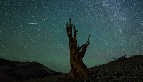 Top 10 Geminids Meteor Shower Captures Found Around the Web