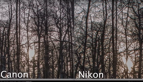 Is the D850 Losing to Canon's 5D Mark IV?