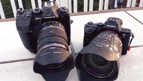 Is the Olympus OM-D E-M1X Doomed to Fail or Crazy Enough to Work?