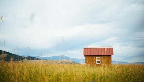 Exploring Hidden Tricks in Adobe Lightroom CC Mobile