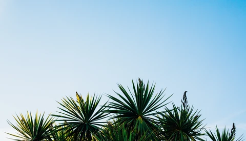 Helpful Tips to Improve Compositions
