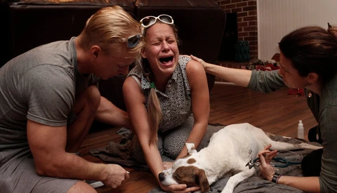 Heartbreaking Photo Series Documents the Raw Final Moments Owners Spend With Their Dying Pets