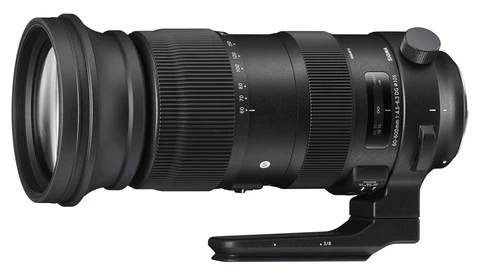 The Lens That Does It All: A Look at the Sigma 60-600mm f/4.5-6.3 Sports