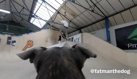 Skateboarder Uses His Dog to Film Himself