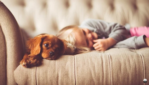 Nine Very Helpful Tips for Better Family Photos