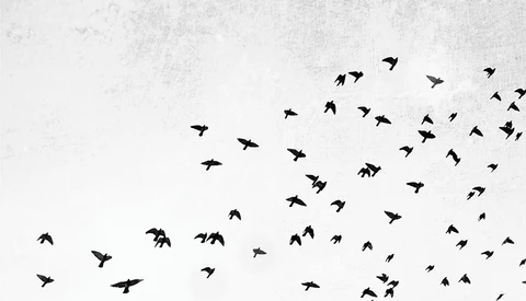Do You Dare to Bare Your Emotions in Your Photographs?