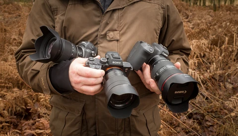 Real Life Comparison of the Sony a7R III, the Nikon Z 7, and the Canon EOS R