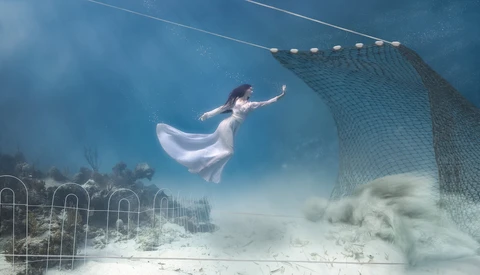 Underwater Photography to Take a Powerful Stand Against Trawling