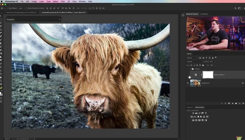 How to Create LUTs in Photoshop for Better Color Grading