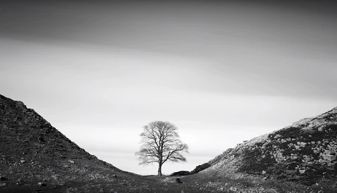 What Qualifies as Deception in Landscape Photography?